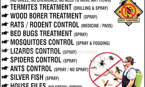Total Solution Pest Control Services - Pest Control in Uttam Nagar, Delhi