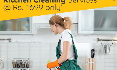 Tumbledry Dwarka - Pest Control in Dwarka Town, Dwarka