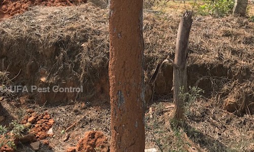 UFA Pest Control - Pest Control in Murugeshpalya, Bangalore