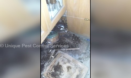 Unique Pest Control Services - Pest Control in Padmarao Nagar, Hyderabad
