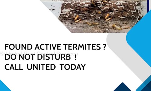 United Pest Control Services - Pest Control in Jalna Road, Aurangabad