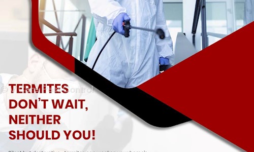 V Care Pest Control - Pest Control in Mira Road, Mumbai