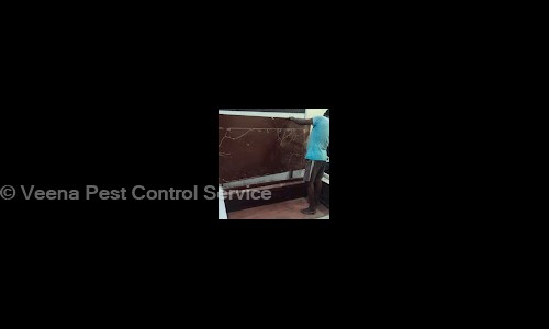 Veena Pest Control Service - Pest Control in Kadma, Jamshedpur