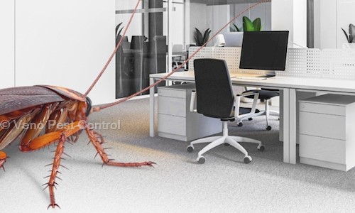 Veno Pest Control - Pest Control in Sector 70, Mohali
