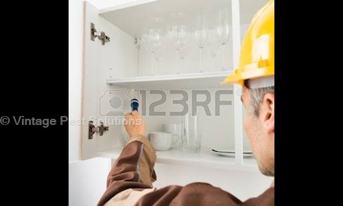 Vintage Pest Solutions - Pest Control in Vinod Nagar West, Delhi