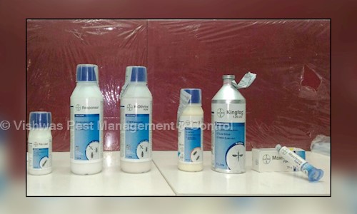 Vishwas Pest Management & Control - Pest Control in Koramangala, Bangalore
