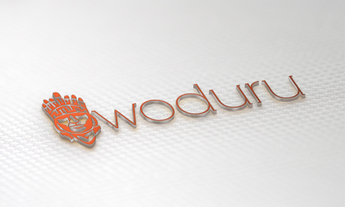 Woduru Infotech - Job Training in Puthiyara, Calicut