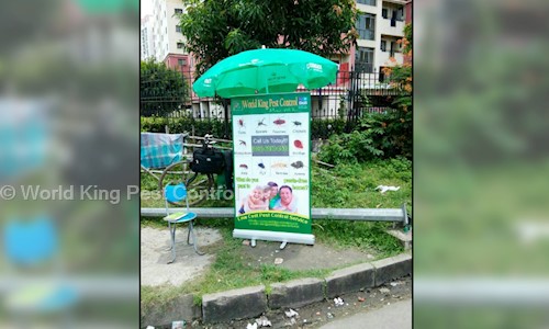World King Pest Control - Pest Control in New Town, Kolkata