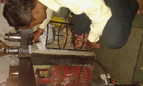 Xlant Pest Control Service - Pest Control in Hadapsar, Pune