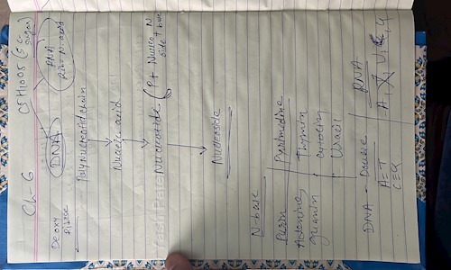 Yash Patel - School Tuitions in Sola, Ahmedabad