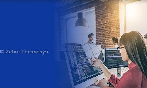 Zebra Technosys - Job Training in Gomti Nagar, Lucknow