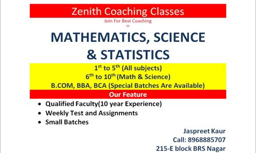 Zenith Coaching Classes - School Tuitions in Bhai Randhir Singh Nagar, Ludhiana