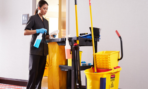 Zipcon - Pest Control in Jammu (Dbsbu), Jammu
