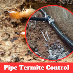 termite control of Anusaya Pest Control service - Best Pest Control Service
