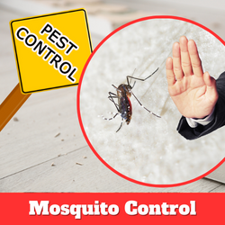 mosquito control of Anusaya Pest Control service - Best Pest Control Service