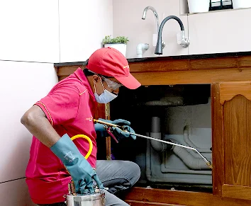 On-site Treatment of Drishya Bhavan Pest Control