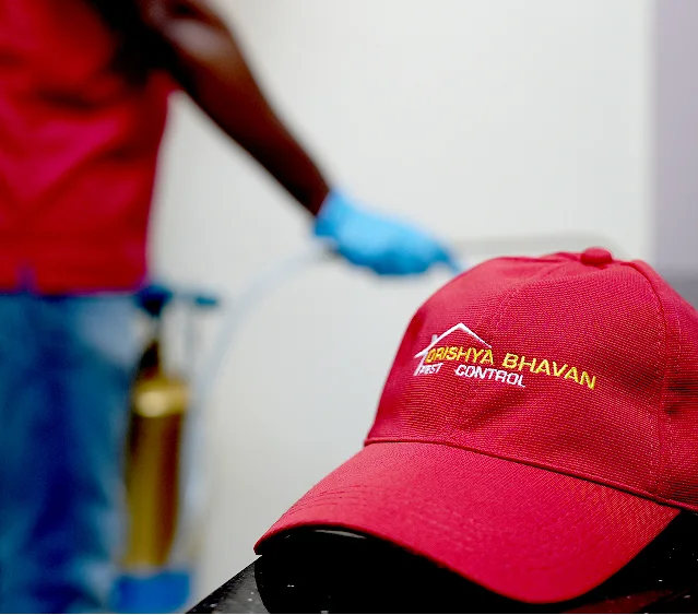 On-site Treatment of Drishya Bhavan Pest Control