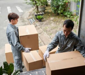 Loading & Unloading of Hariyana Logistics