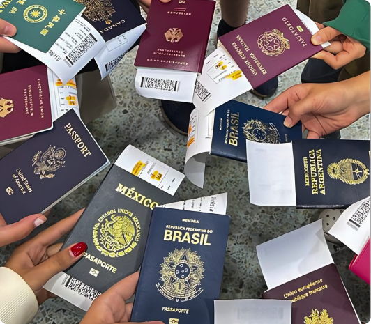 Student Visa Approvals of Edulogy Consultant 