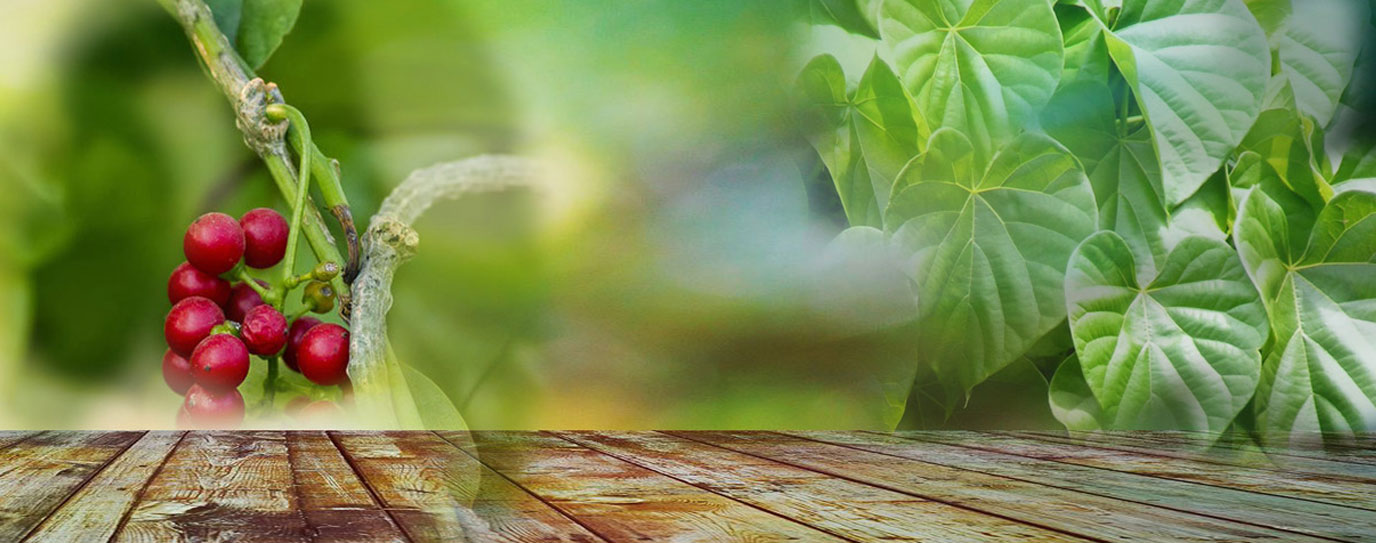 Dr Reena Ayurvedic Clinic image