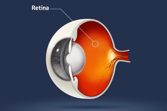 Eye Trust Hospital image