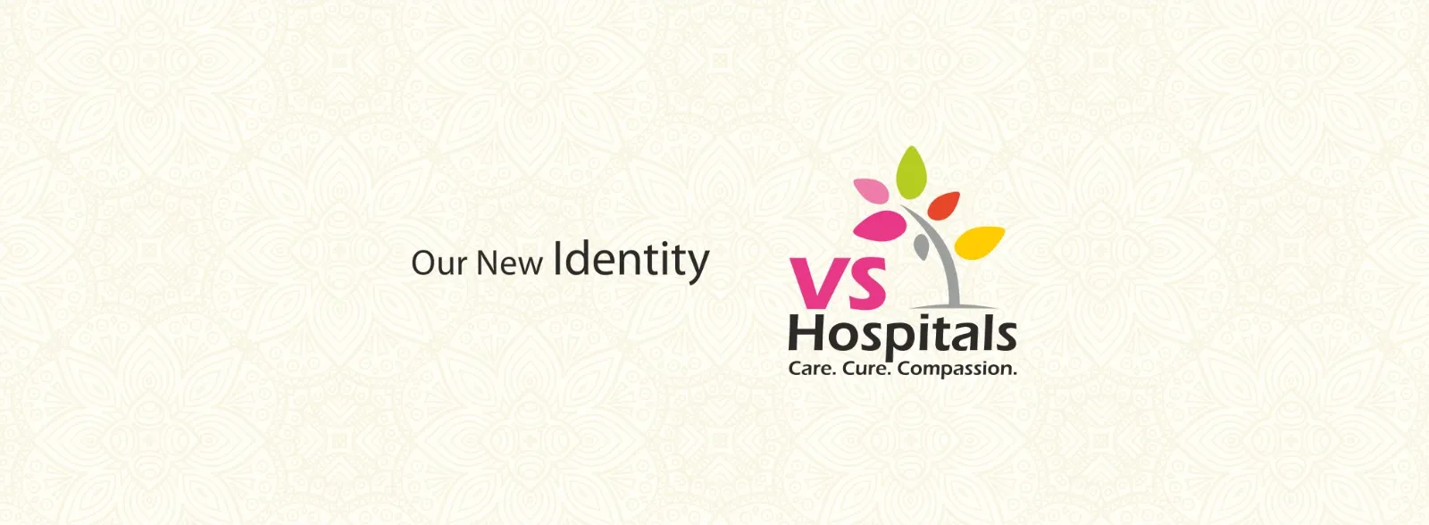 VS Hospitals image
