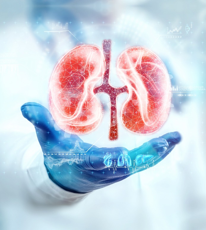 Billroth Hospitals Institute of Gastroenterology image