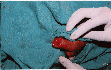 Prayavi Hospital image