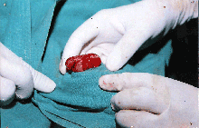 Prayavi Hospital image