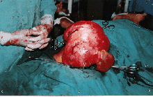 Prayavi Hospital image