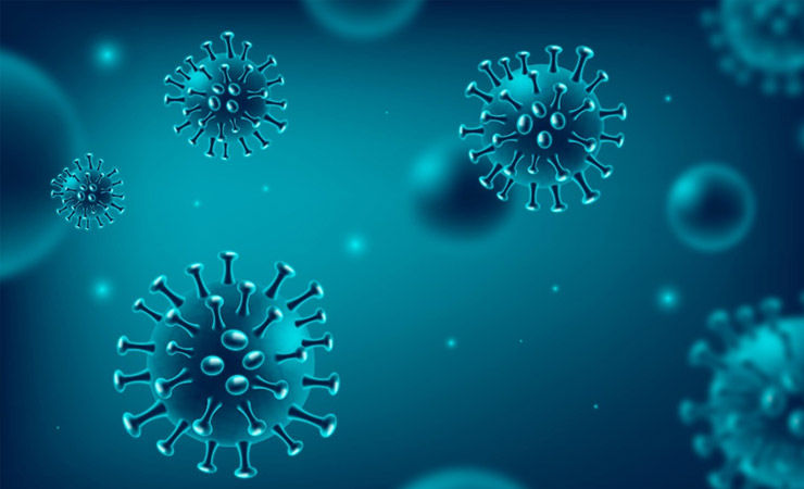 Vitromed Healthcare image