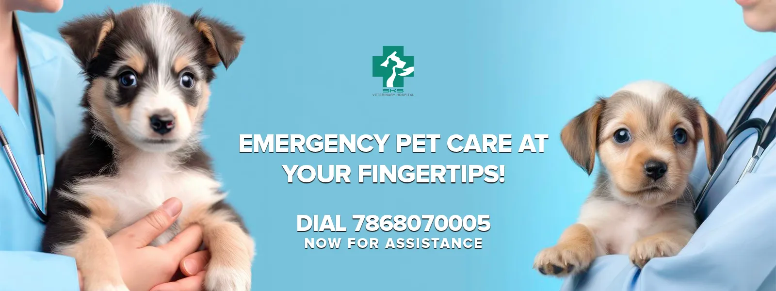 SKS Veterinary Hospital image