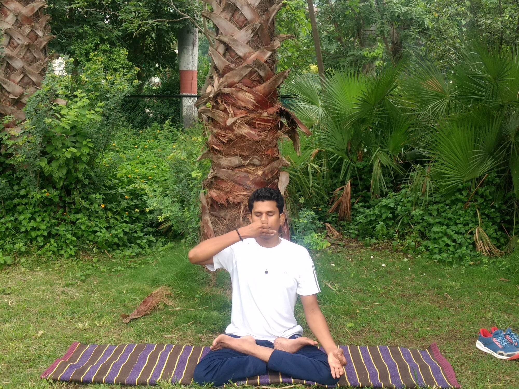 Pranayama of Kaushalam Yoga