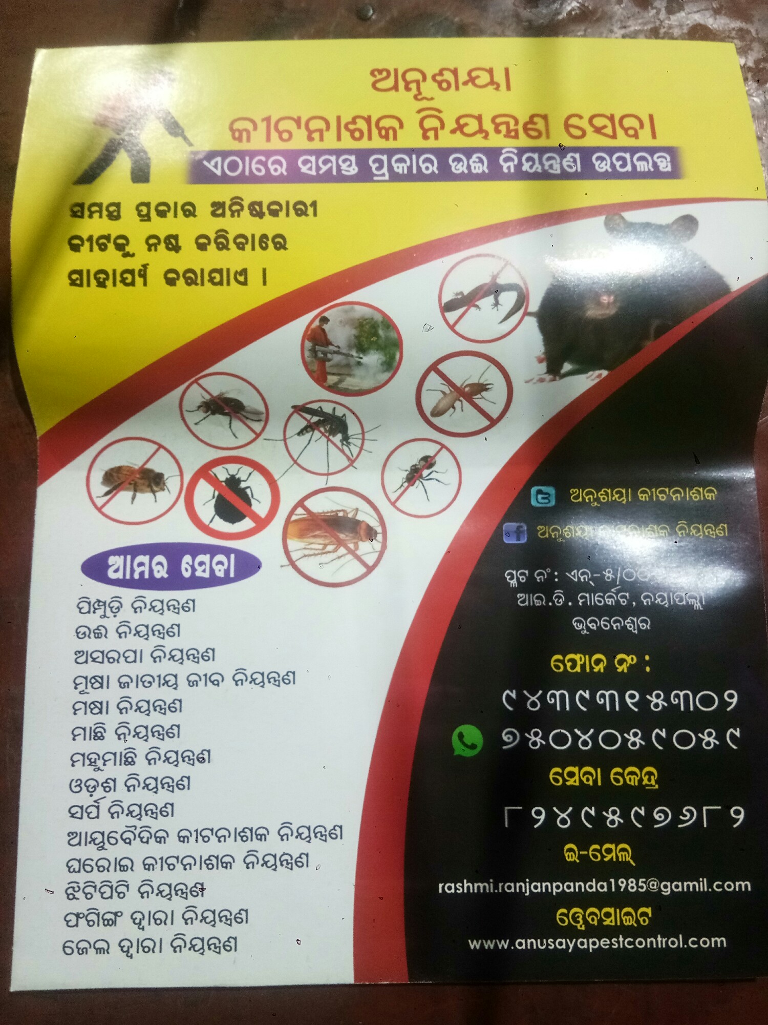 Other of Anusaya Pest Control service - Best Pest Control Service