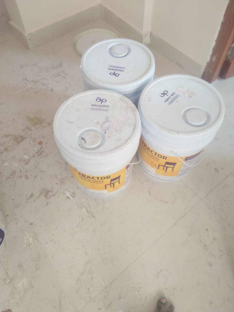 Premium Paint Showcase of Dream Home Painting Solution