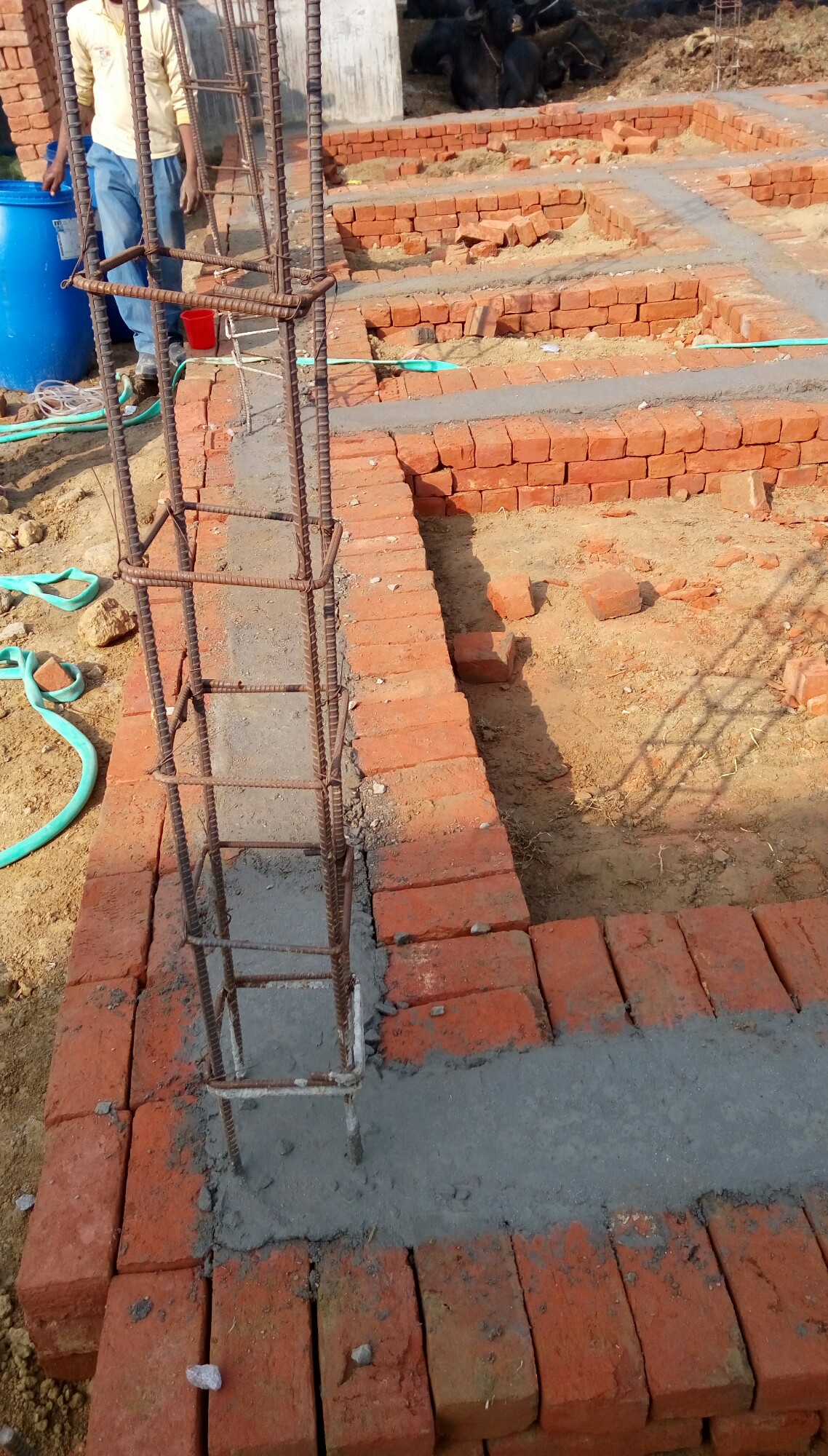 Other of Praveen Kumar Dwivedi