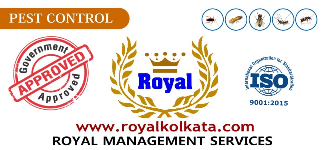 Pest Control Equipment of Royal Management Services