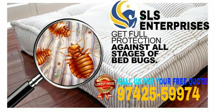 Bed Bug Spray of SLS ENTERPRISES