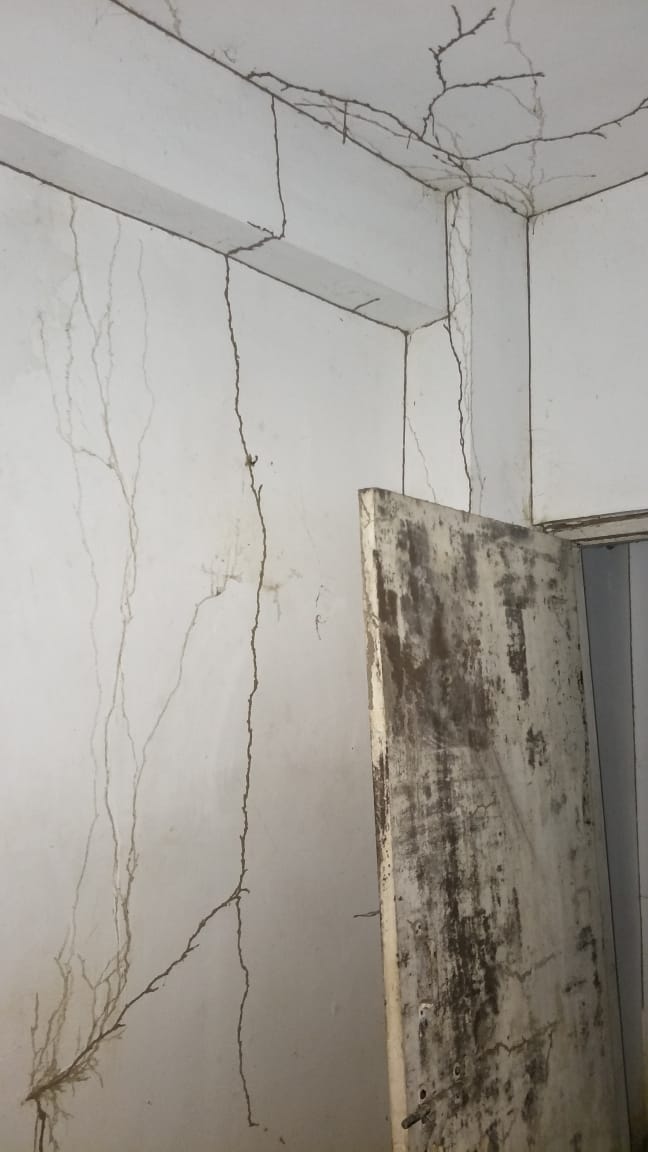 Termite Treatment of Suraksha Pest Control And Sanitizing Service