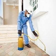On-site Treatment of Suraksha Pest Control And Sanitizing Service
