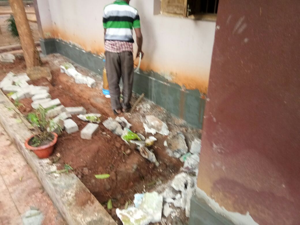 Termite Treatment of T.P. Pest Control