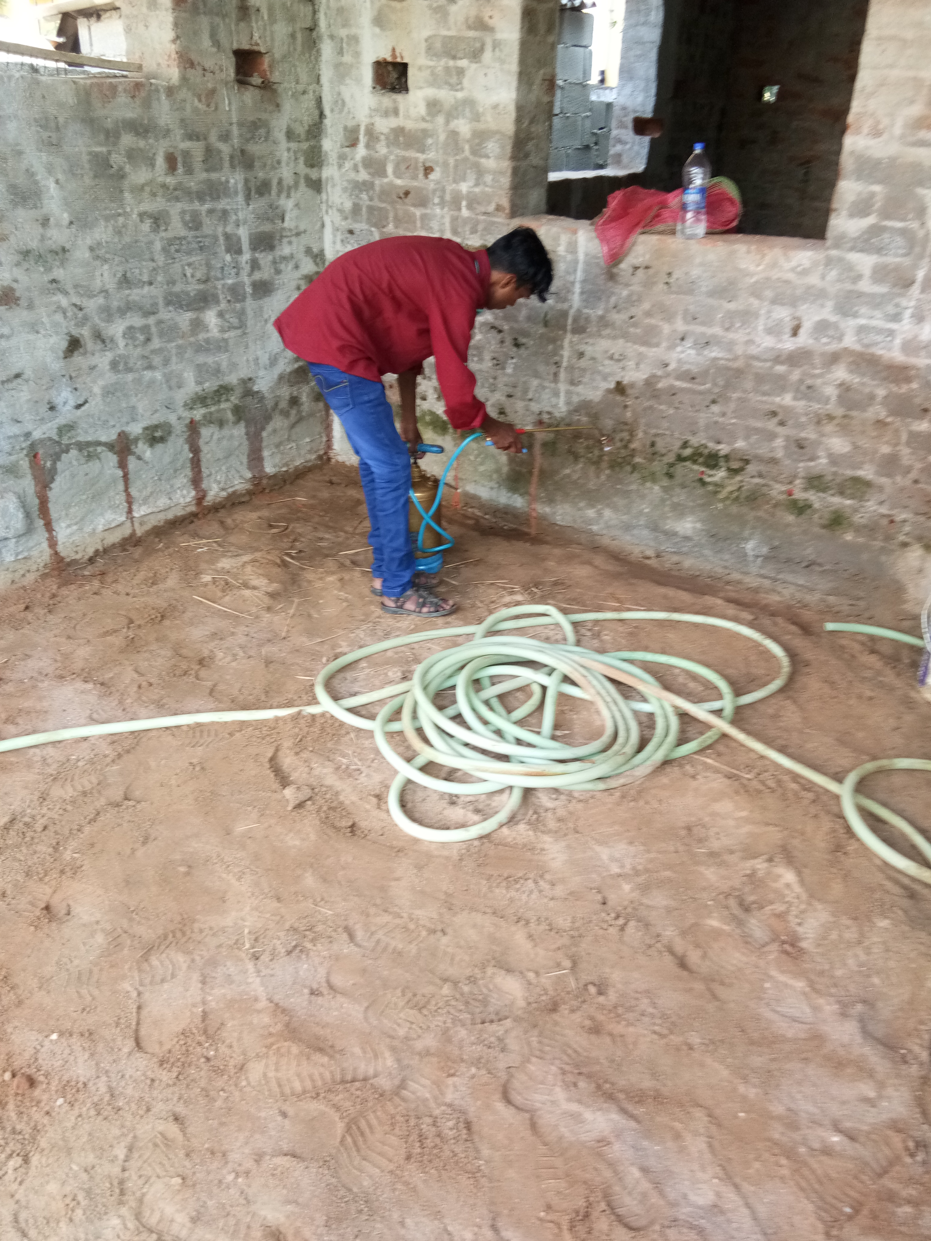 Other of T.P. Pest Control