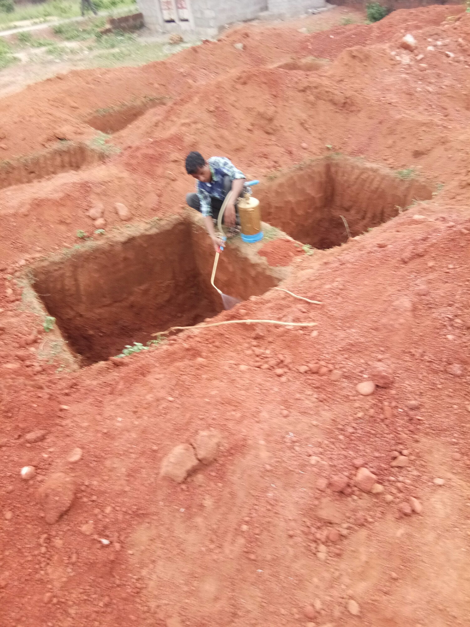 Termite Treatment of T.P. Pest Control