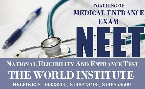 None of THE WORLD INSTITUTE