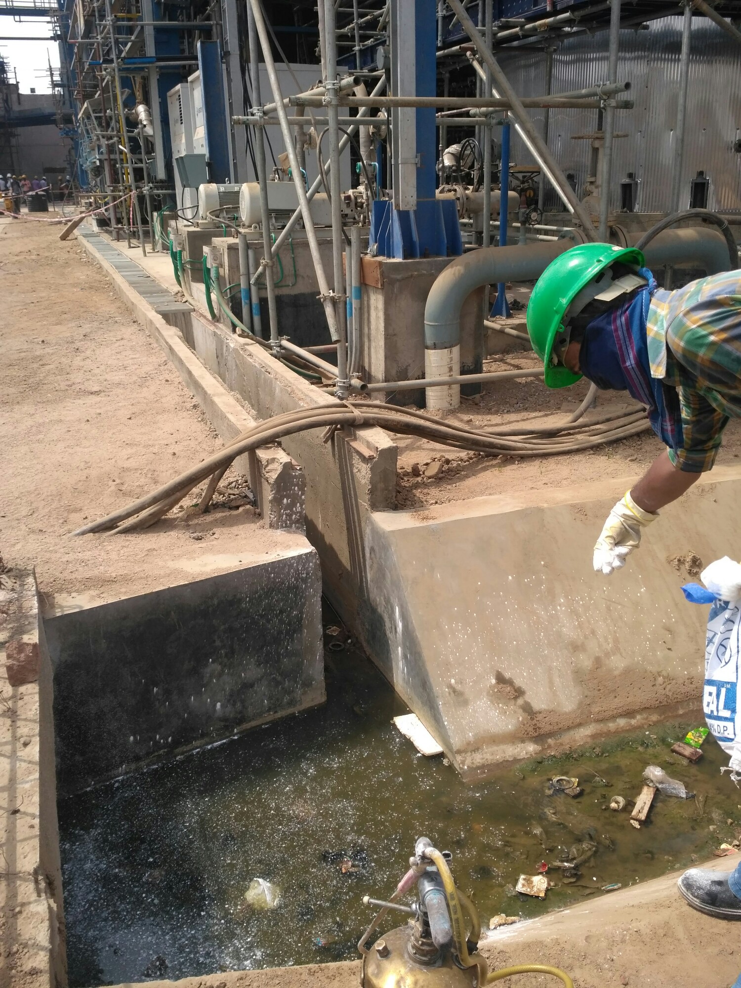 On-site Treatment of Unique pest control