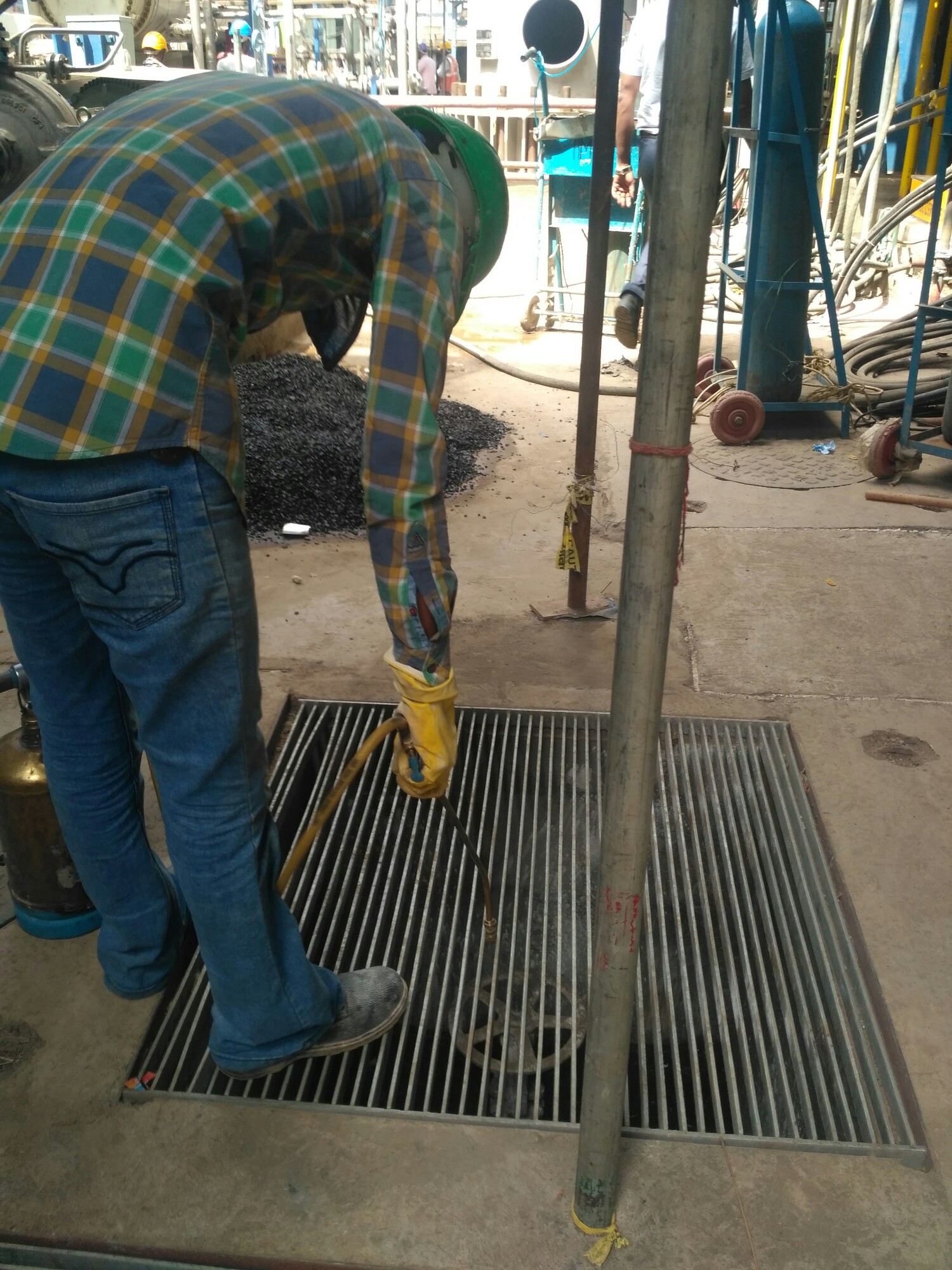 On-site Treatment of Unique pest control