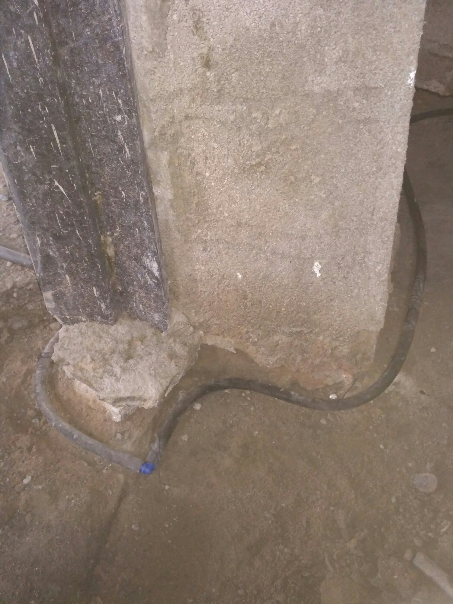 Termite Treatment of Unique pest control