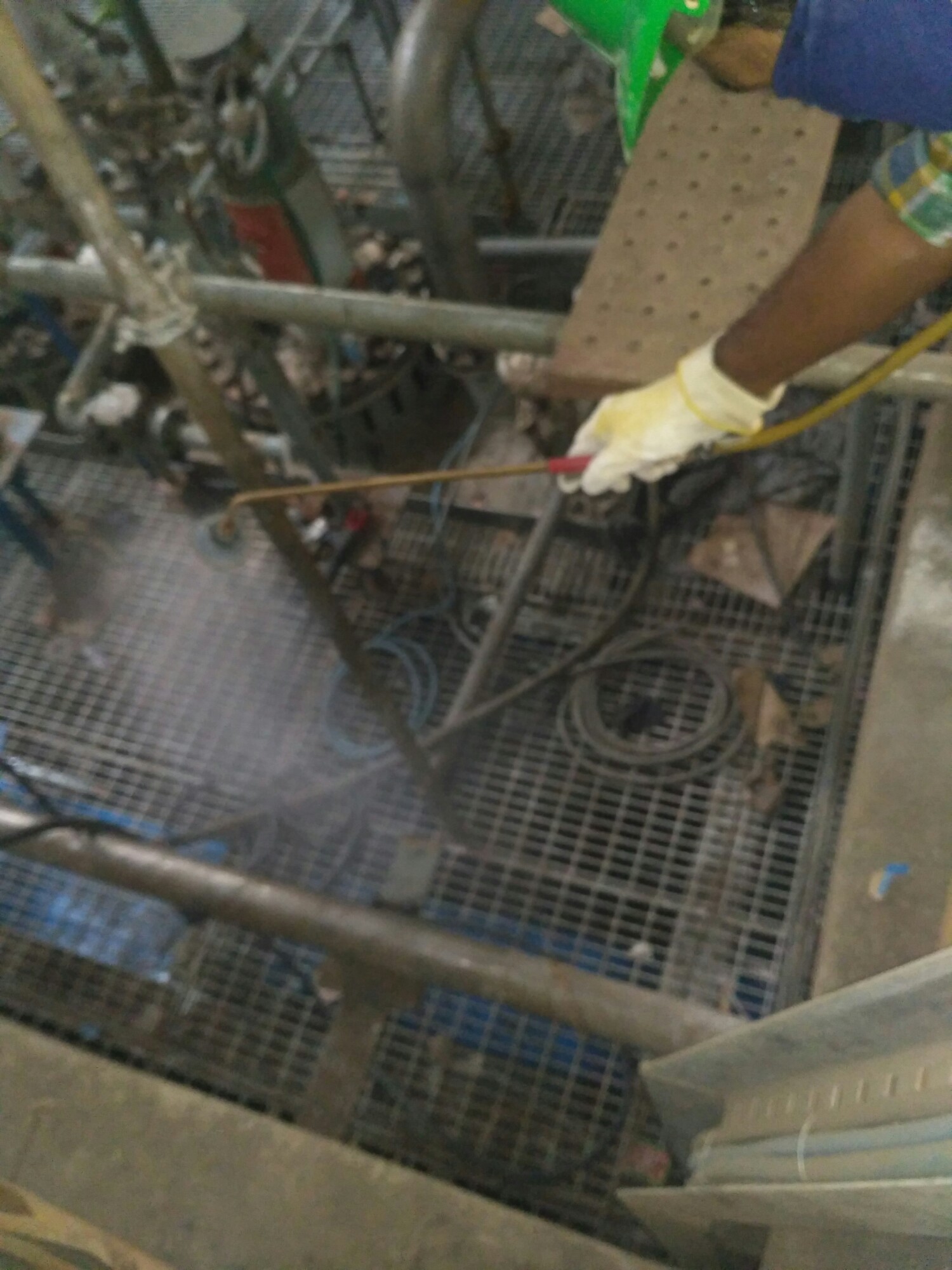 On-site Treatment of Unique pest control
