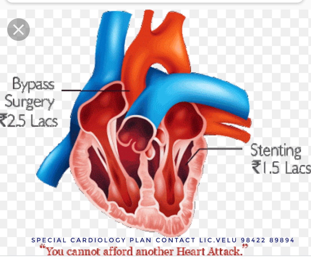 Health Insurance Brochure of Velmurugan S
