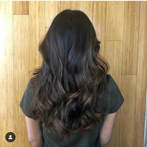 Curly top image